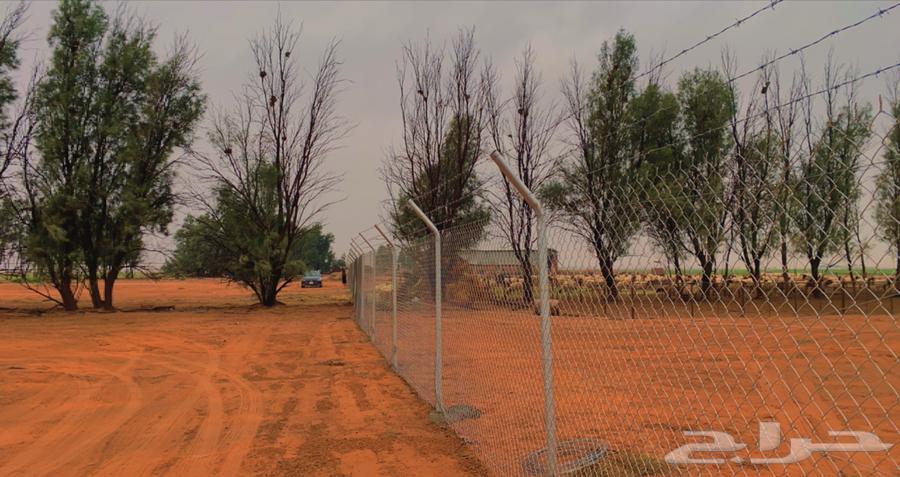 Installation of fences of all types64518033811073113