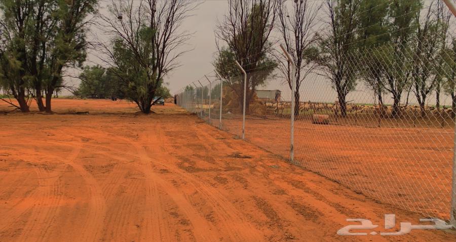 Installation of fences of all types64518033811073114