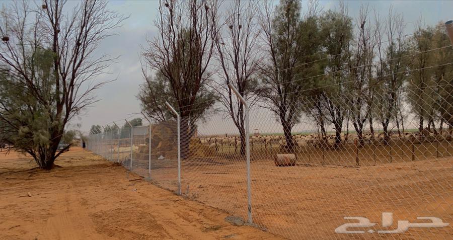 Installation of fences of all types64518033811073111