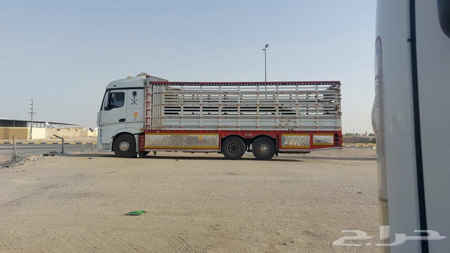 دنه دينه لوري مسكس للنقل64518309498369111