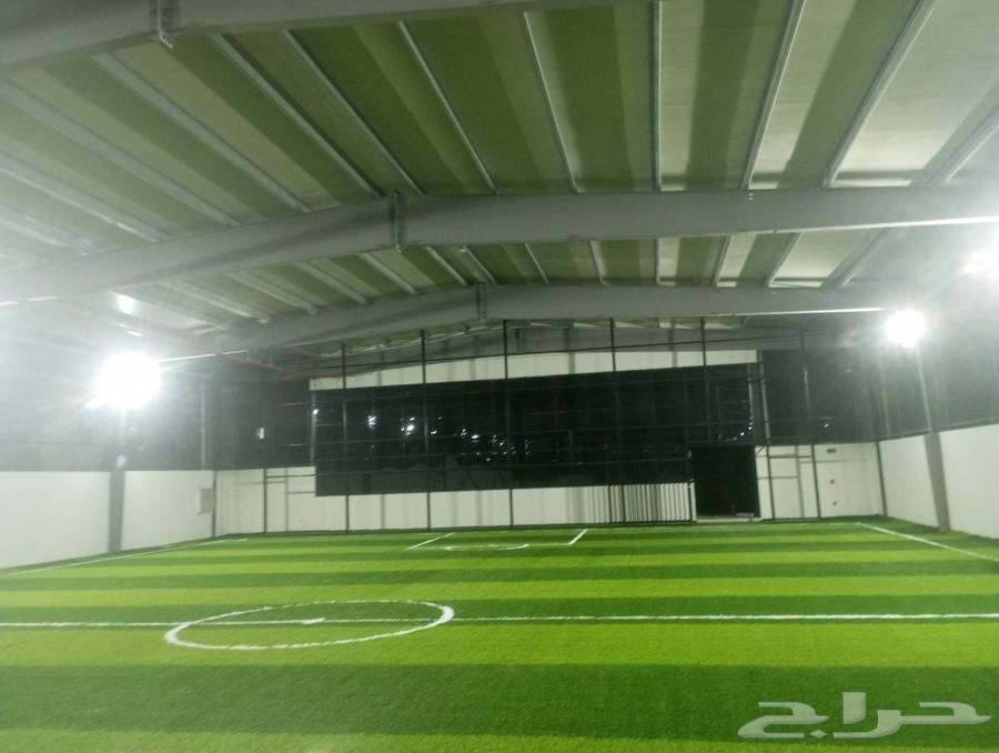 توريد وتركيب بديل خشب الشيبورد عشب صناعي تركيب ملاعب64513589128193113