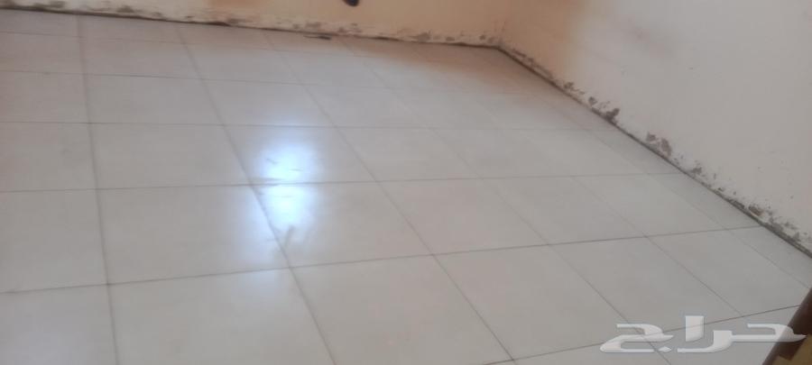 Worked in Jeddah64513574516866110