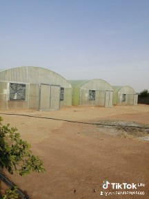 Greenhouse Technician, Agricultural Connections, Disassembly and Installation64518310977153113