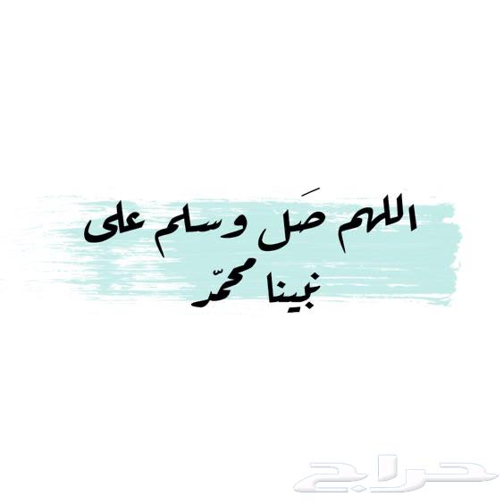 مطلوب شقة للايجار عوائل64513509320195110