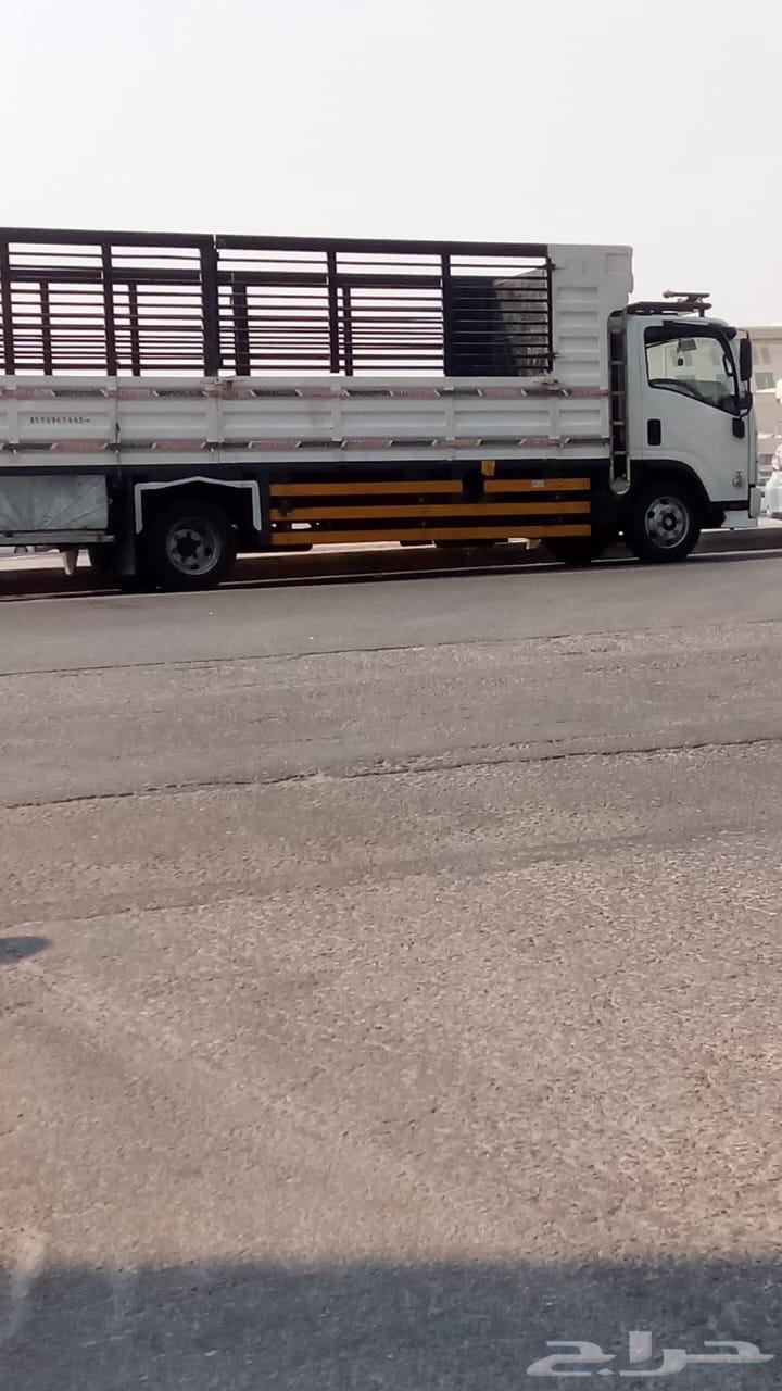 نقل عفش الخبر الدمام الرياض الشرقيه64518115620481110