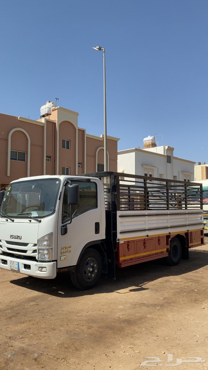 ديانه داخل تبوك وخارجها64518196173569110