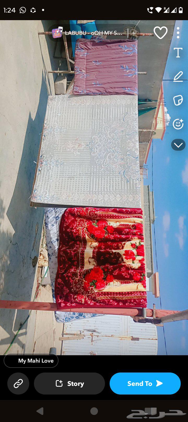 سجادة مراكي باتانيا مفارش سيتارا سيفون فاروا عباية مجلس غاس64518132454018112