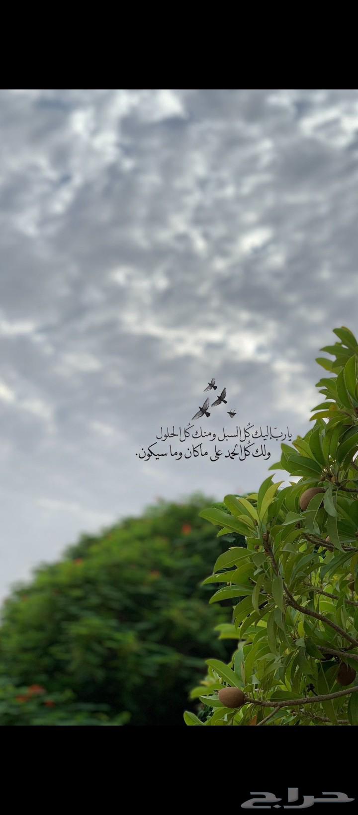 توصيل المدينة المنورة64513574080386110