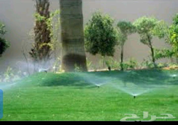 Modern irrigation networks64518066590338113