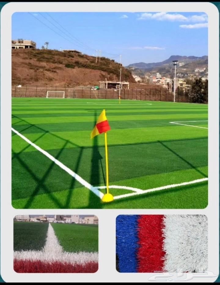 جميع انواع العشب الارضي والجدري متوفر توريد وتركيب64518211641475113