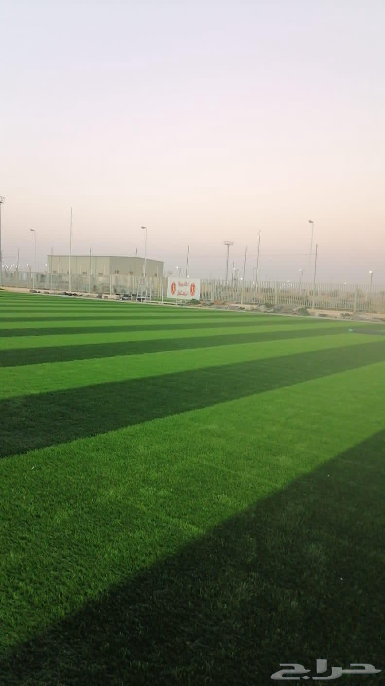 نحن شركة رائدة في مجال الملاعب الترفيهية والعشب الصناعي مشا64518132849794110