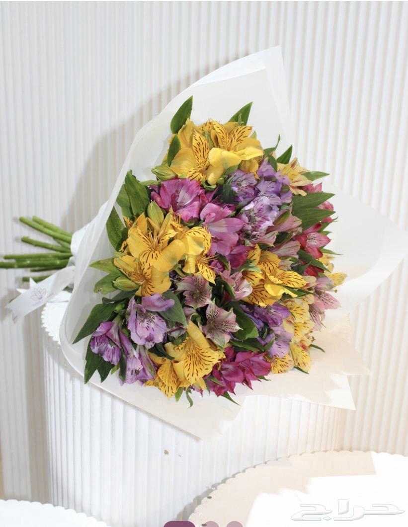 مندوب توصيل ورد   وملابس وعطورات64513588893698112