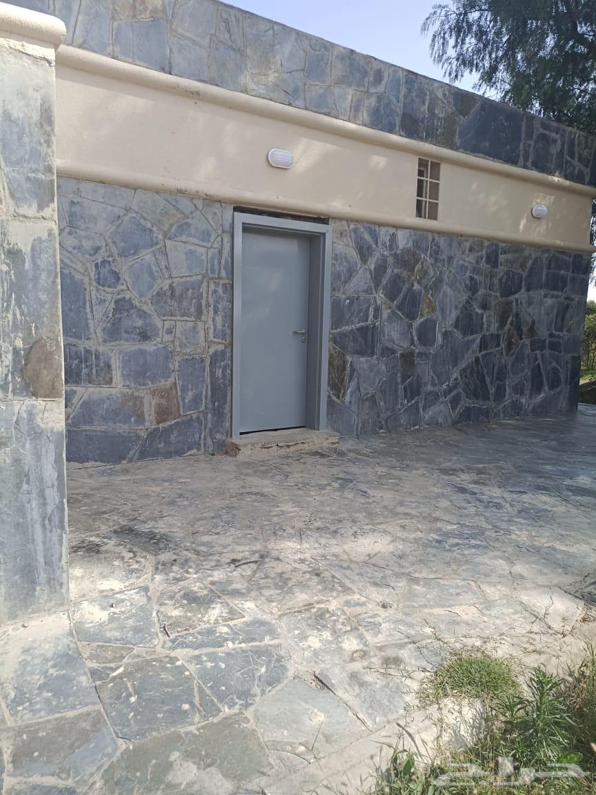 مقاول حجر بو لين روبرب دي ور تليس64518228123778113