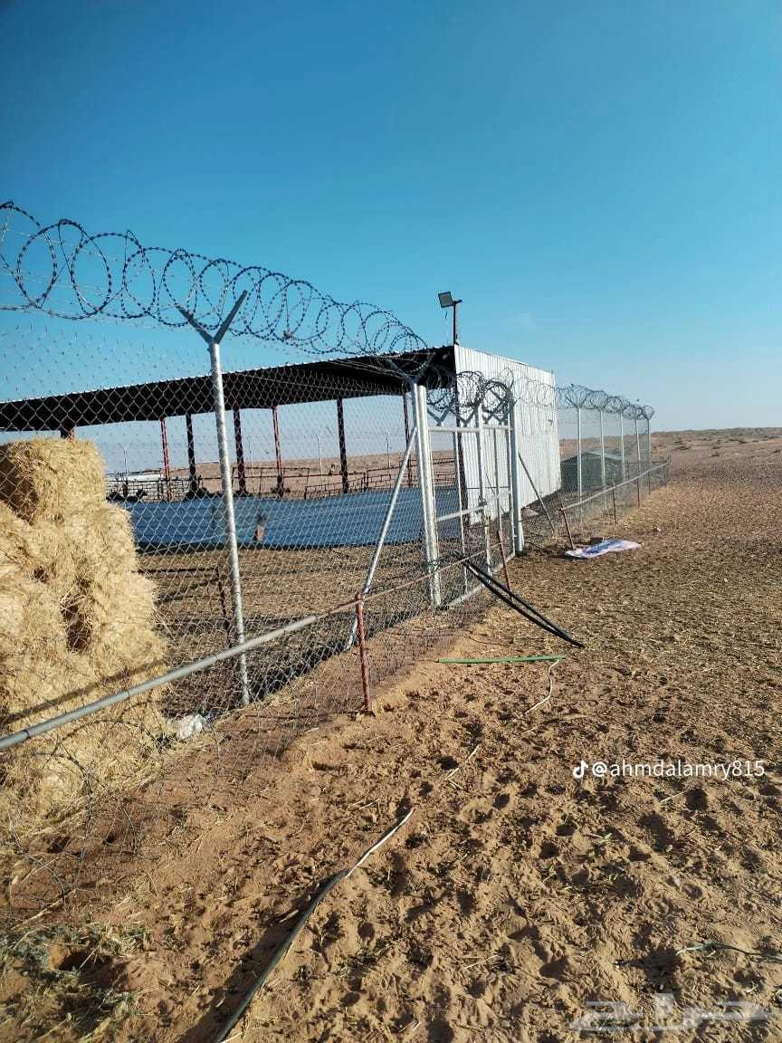 You specialize in installing all types of Shbaka64513573233283112