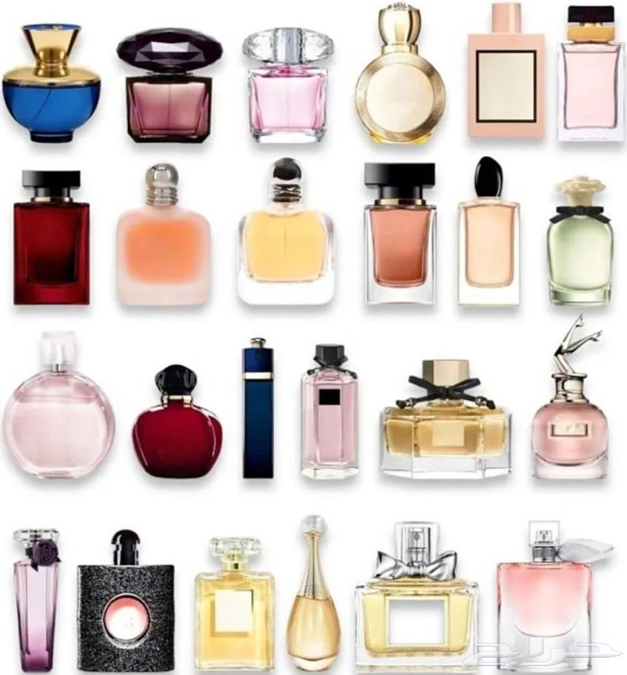 مندوب توصيل ورد   وملابس وعطورات64513588893698114