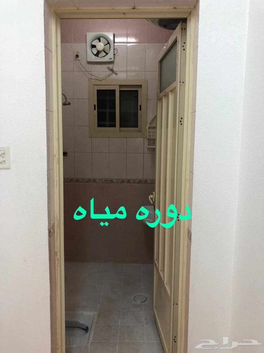 للاجار شقة دور اول حب بدر64518098123649114