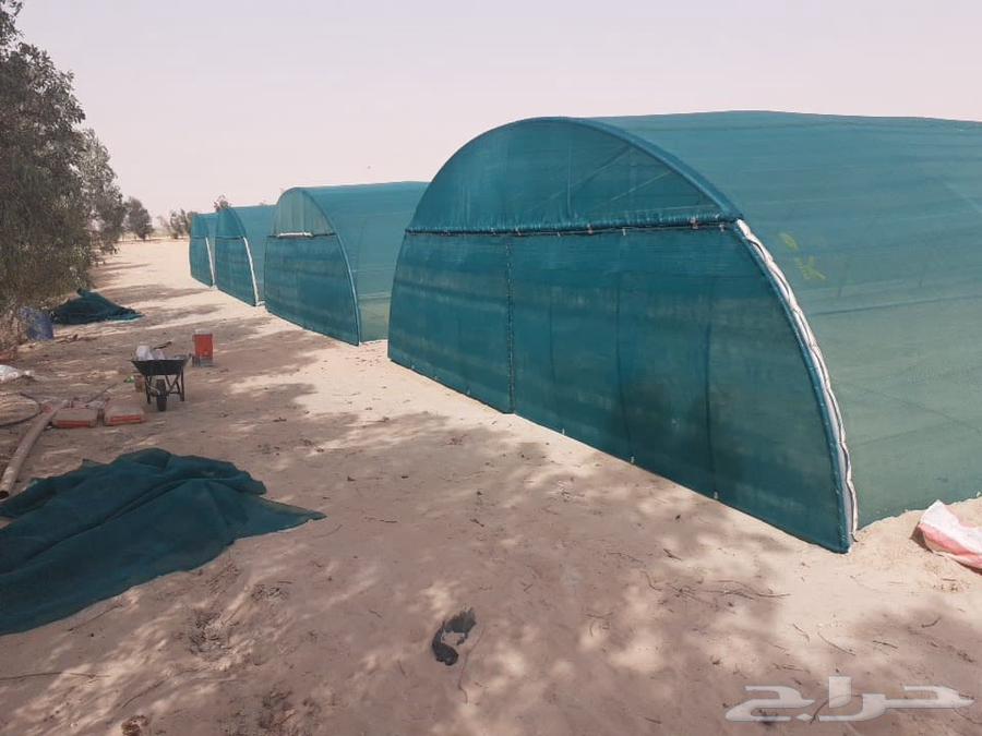 Greenhouse Technician, Agricultural Connections, Disassembly and Installation64518310977153110