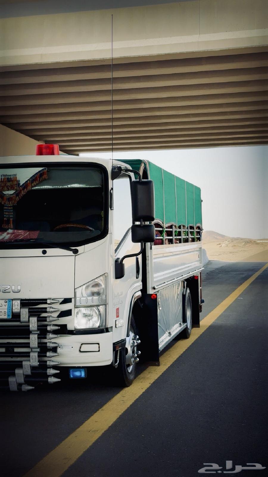 دنه في مكه دينه في مكه64525052314755113