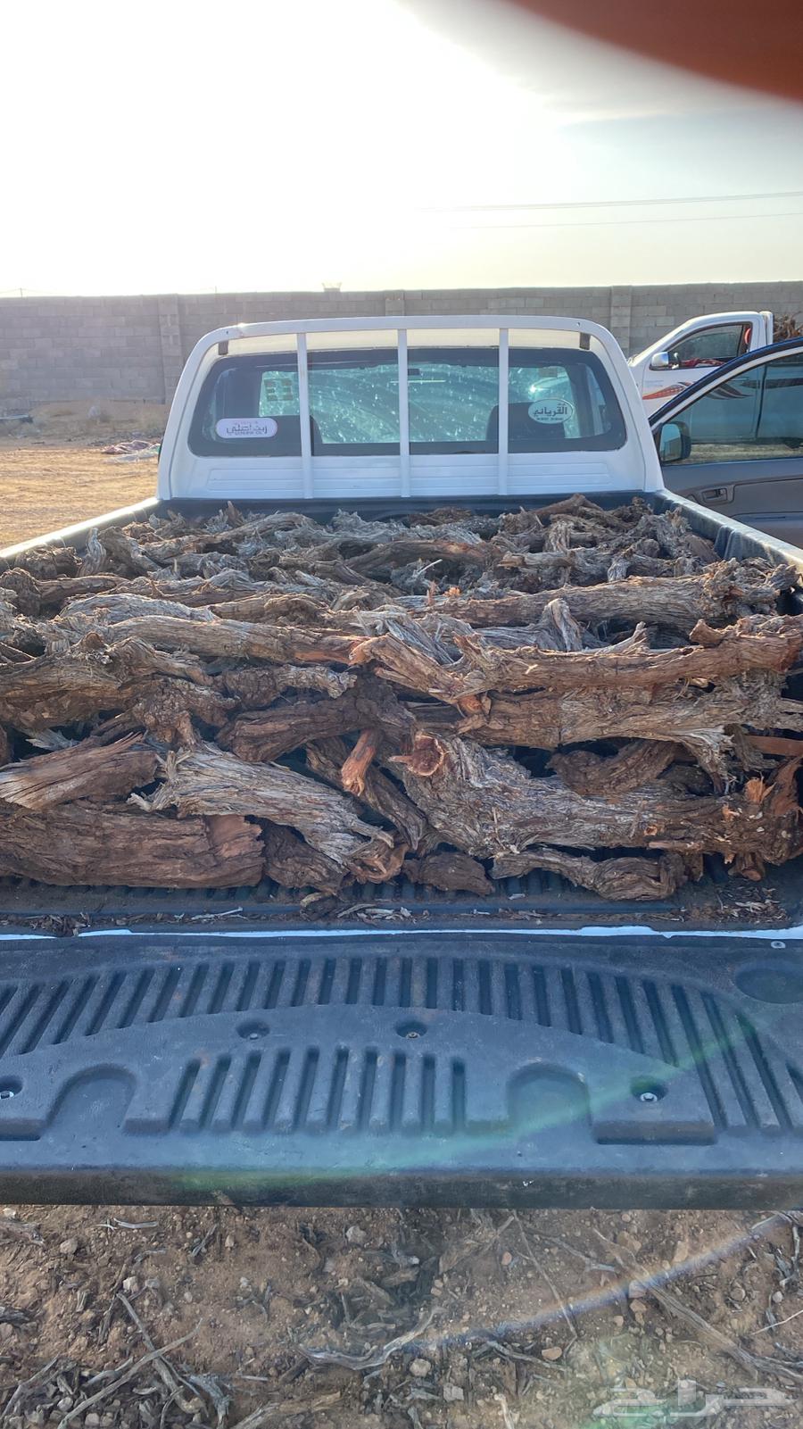 حط ب الرطي والرطا64525036643329110