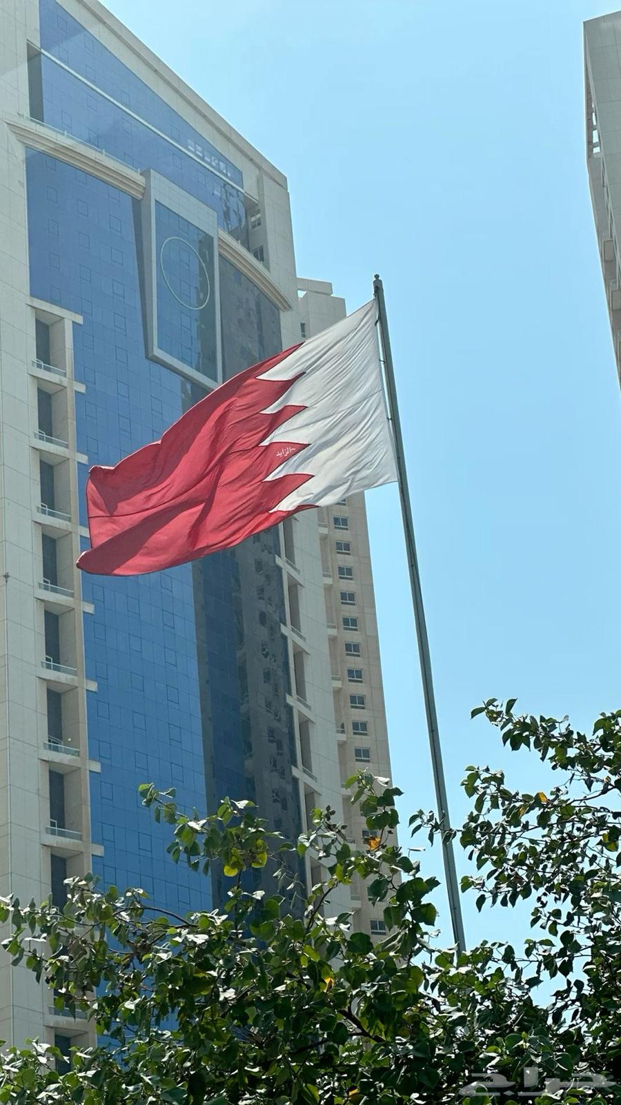 توصيل بنات للبحرين (بنات فقط)64534439894658112