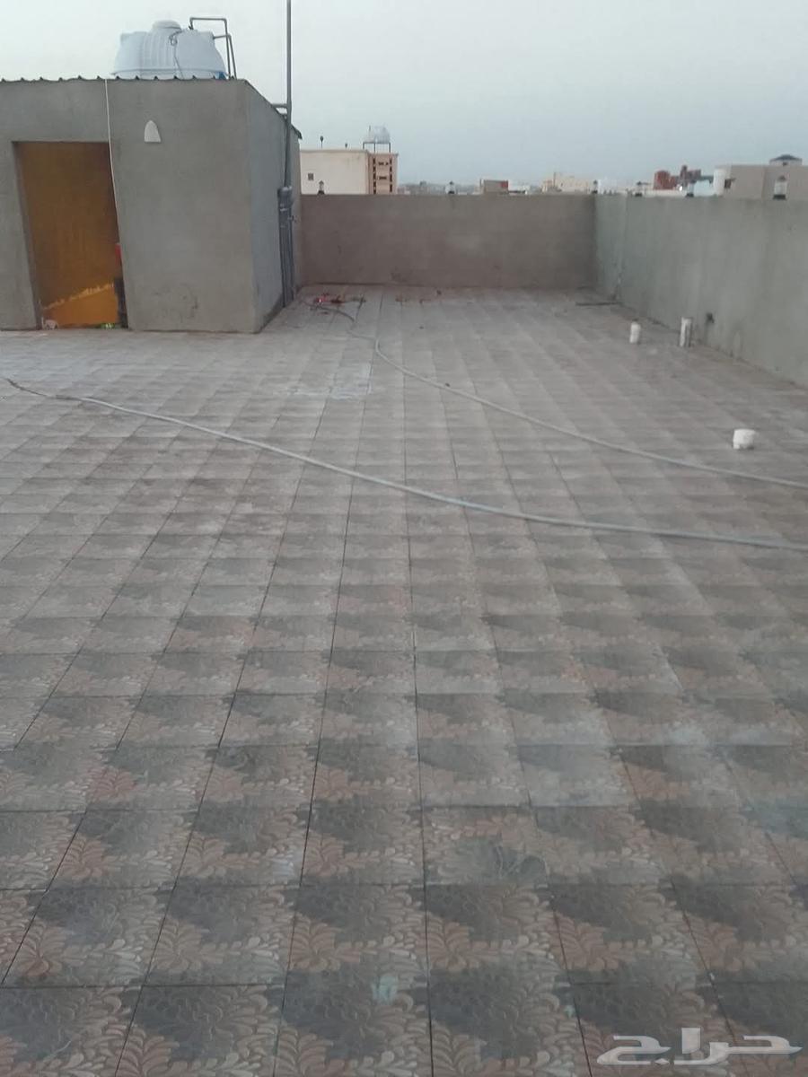 مبلط سرميك64525066620546112