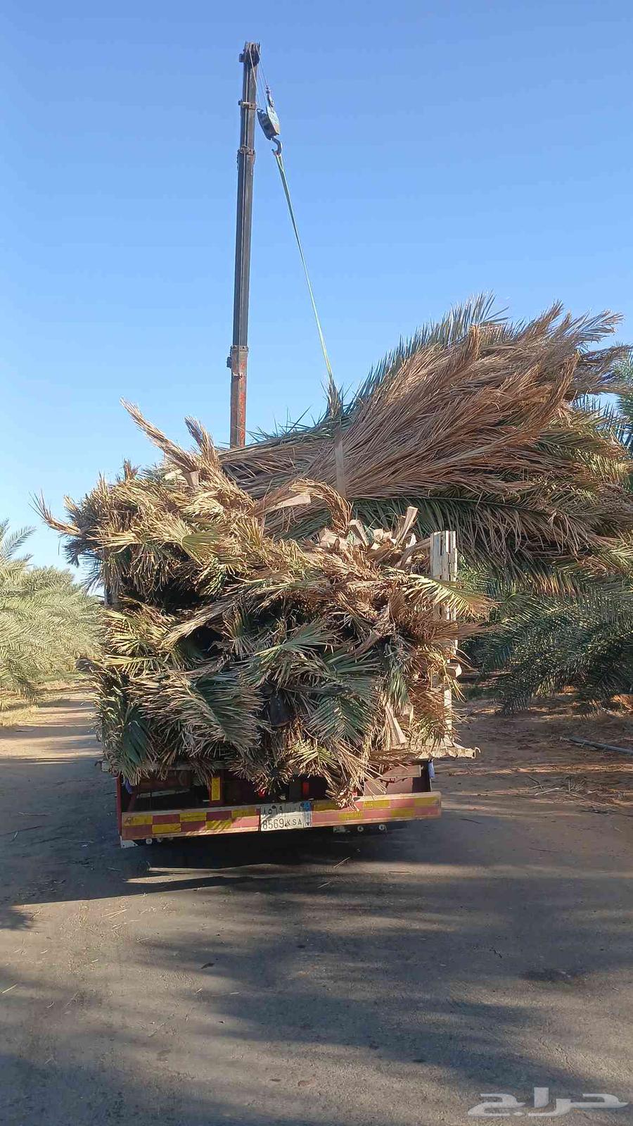 نقوم بتركيب عريش وخيم وتركيب شبوك64606262432130111