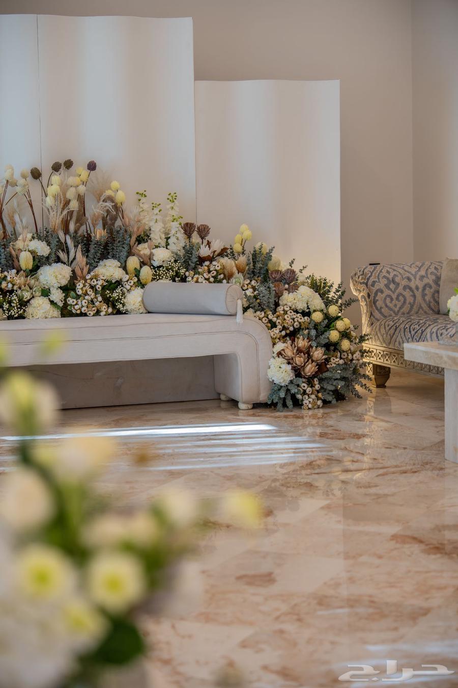 تصوير اعلاني لكل المناسبات64582159963651112