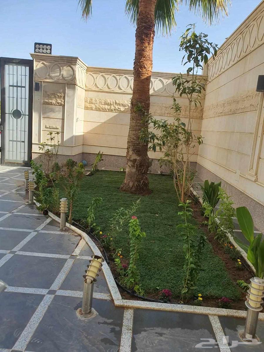 زراعة التيل الطبيعي بافضل الاسعار64534503053825112