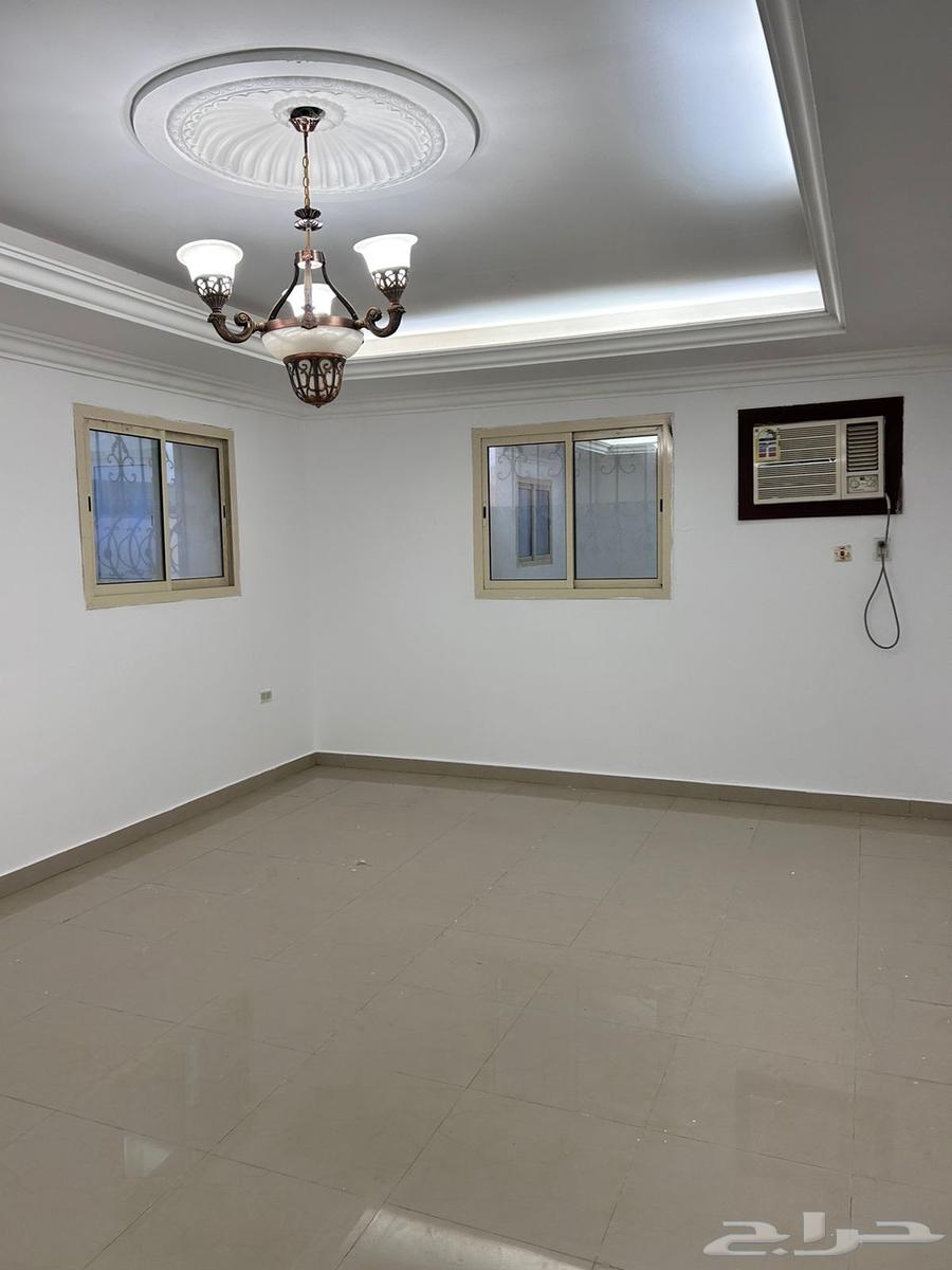 شقة للإيجار