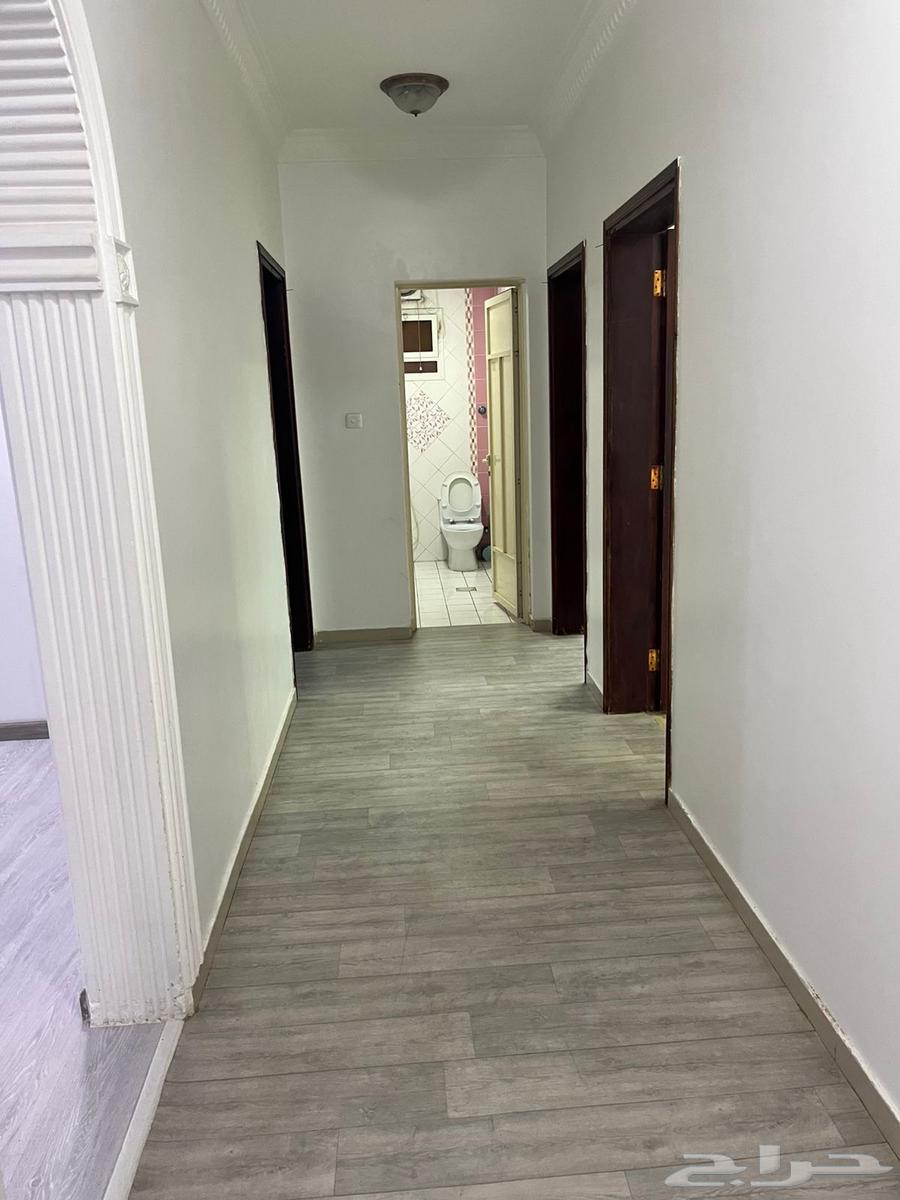 شقه للايجار بالجبيل حي الحمرا عدد 5 غرف 35 الف64534308610178112