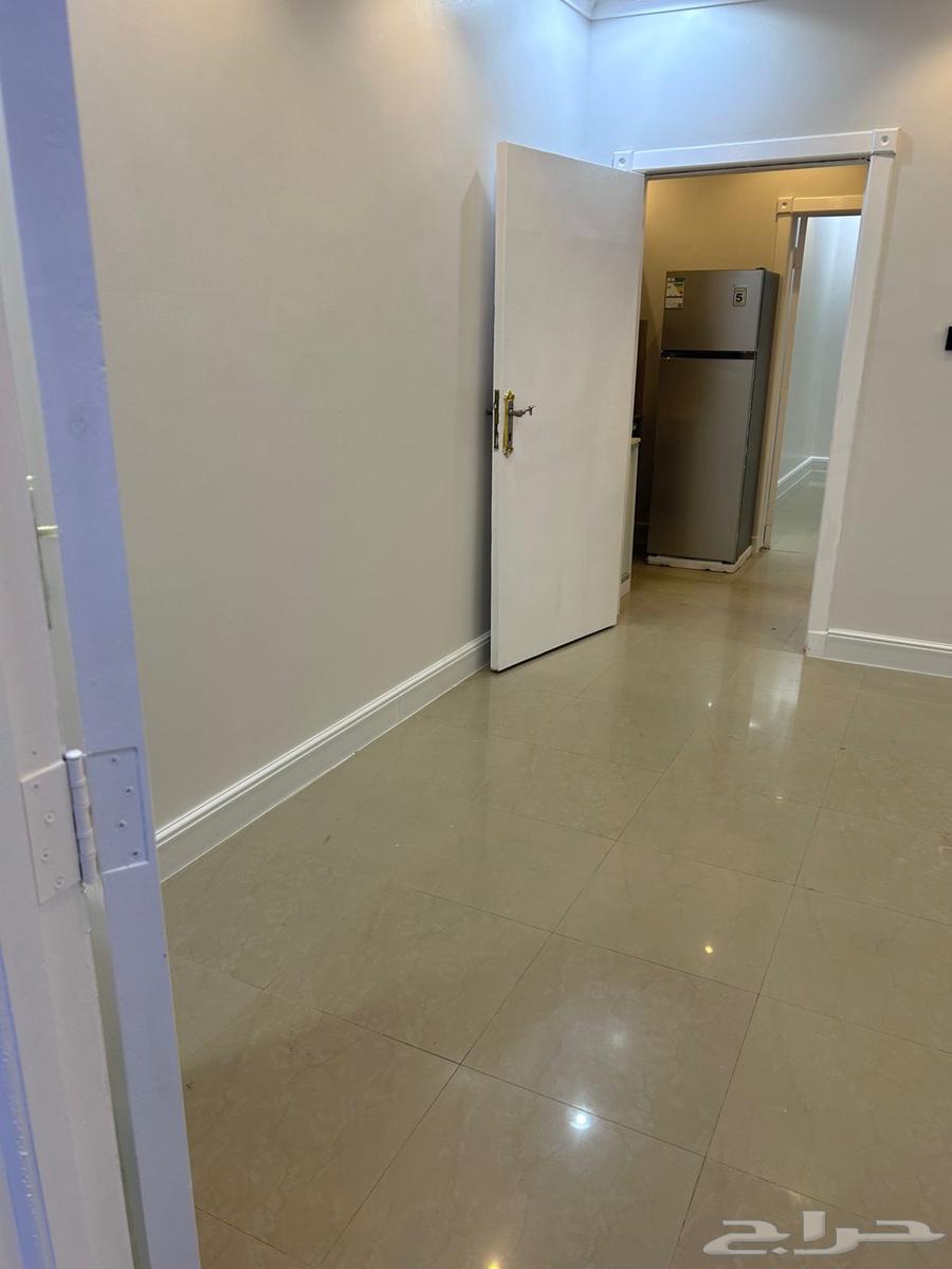 شقه غرفه وصاله ومطبخ ودوره مياه64562713155459111