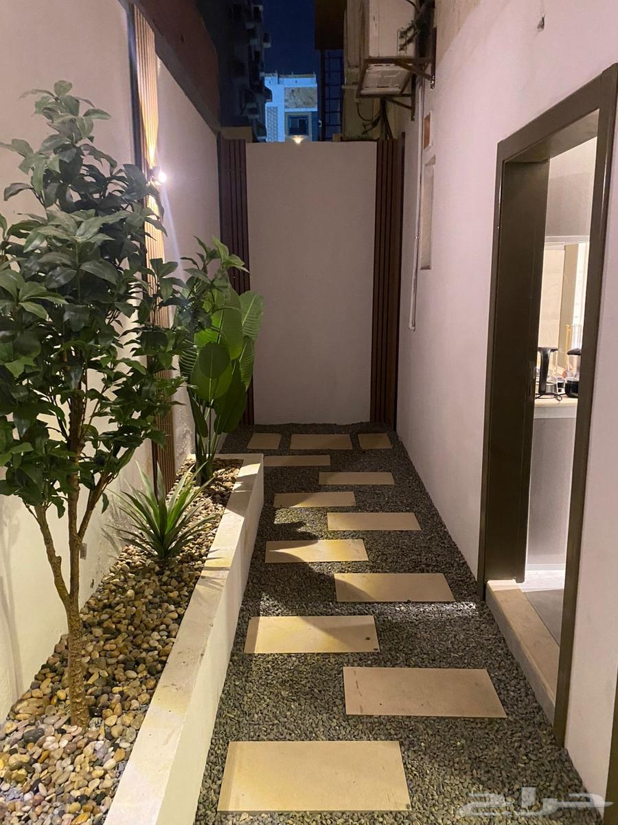 شقَّة صغيرة (استوديو) للإيجار