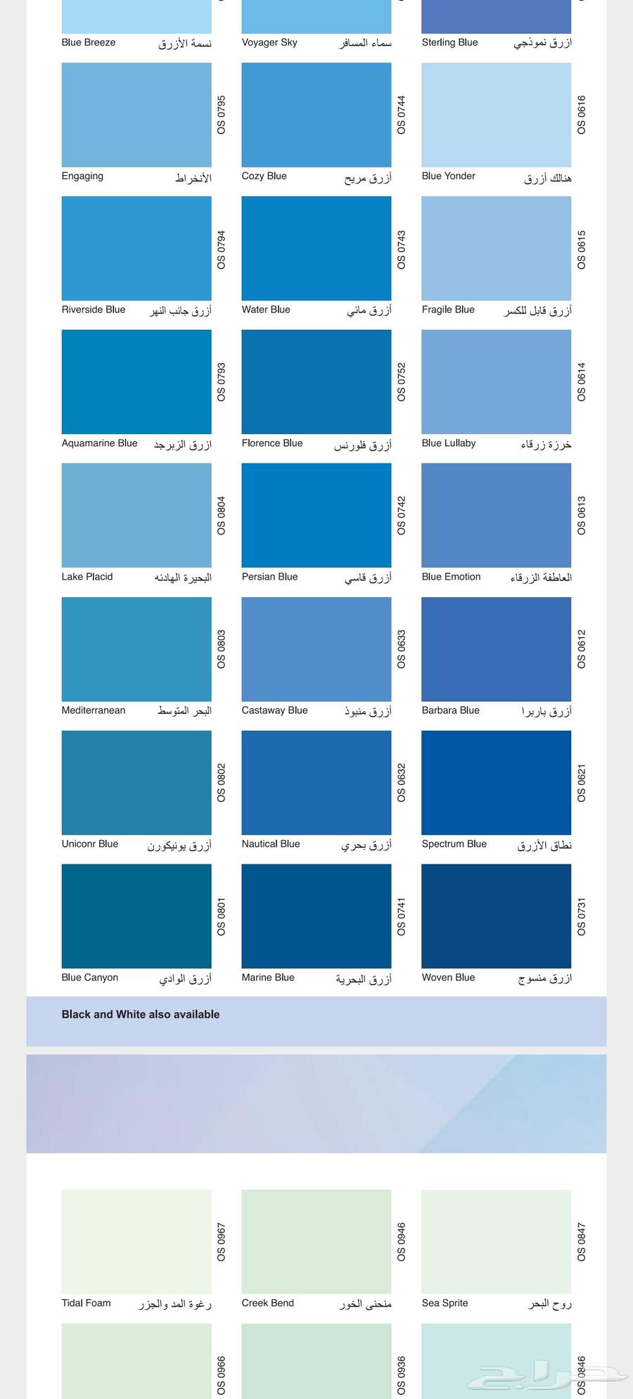 صباغ بويات الدمام الضهران الخبر64534408017025113