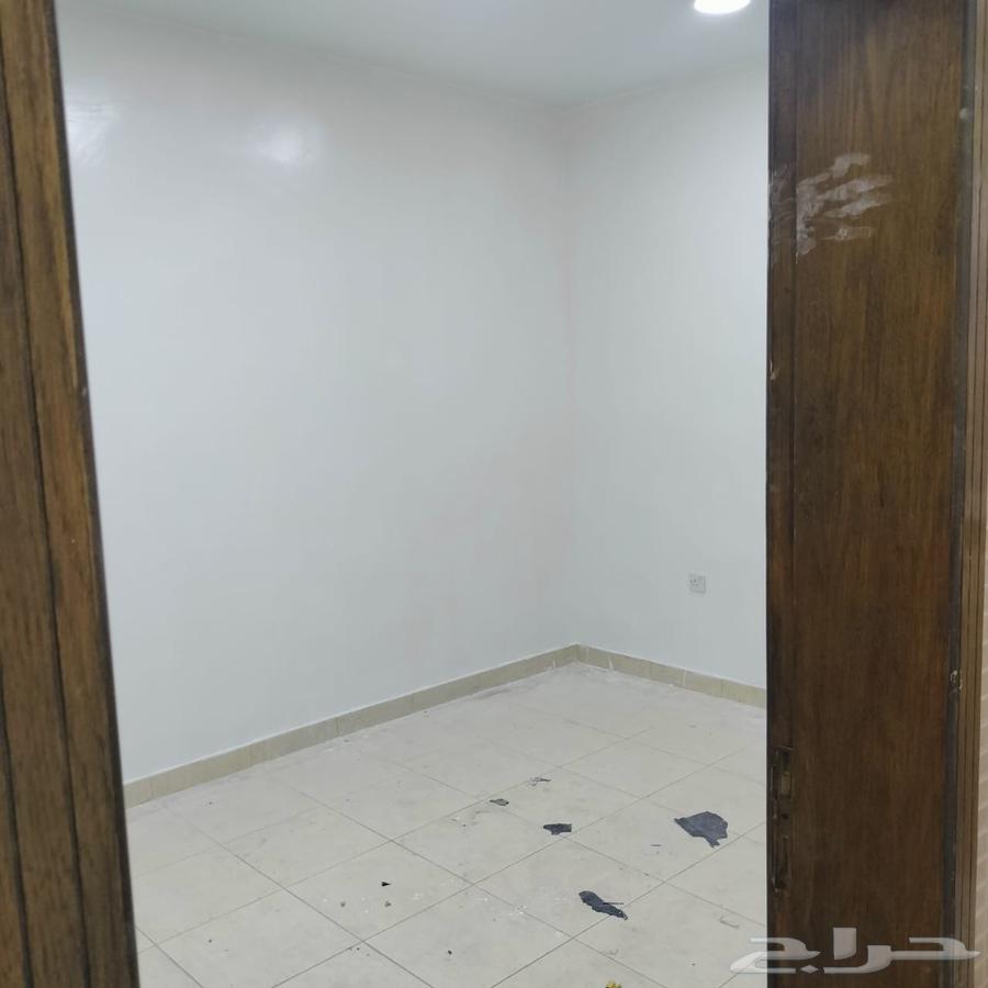 شقه للايجار عزاب في الحفيره64534292096385113