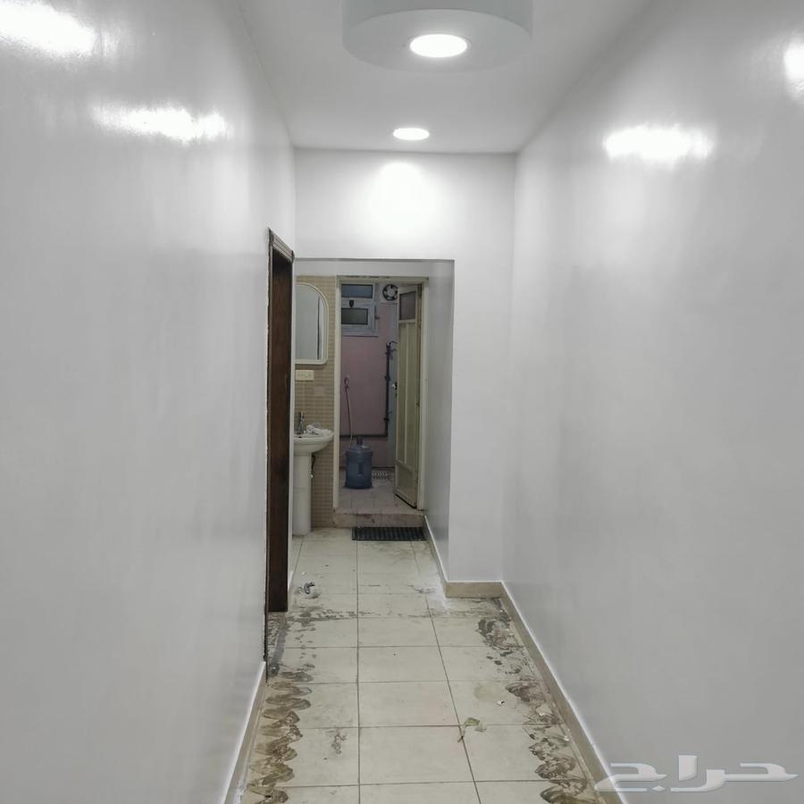 شقه للايجار عزاب في الحفيره64534292096385112