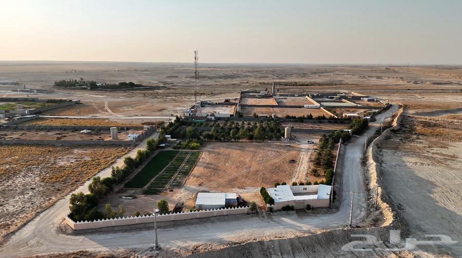 مزرعة للبيع