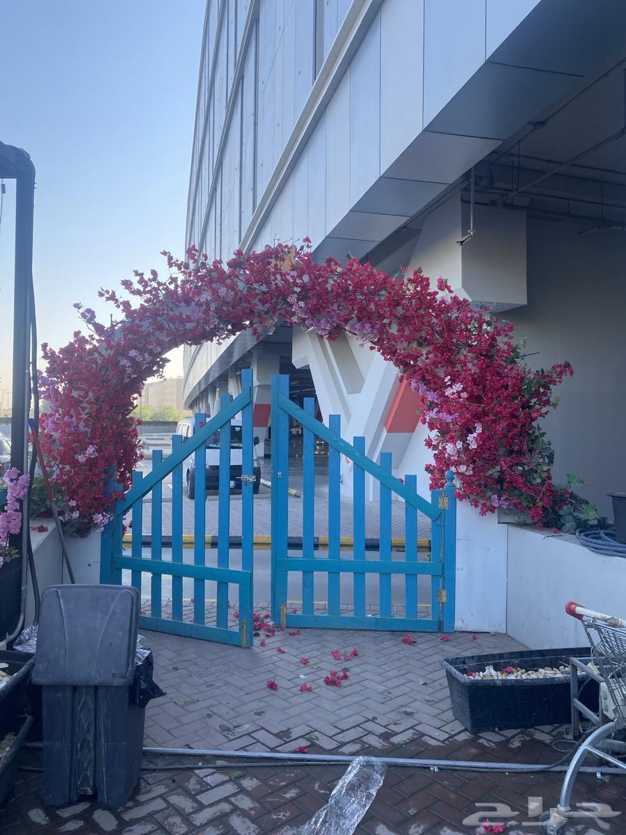 تنسيق ورد جهنمي كافيهات و مطاعم جلسات خارجيه64534342449153110