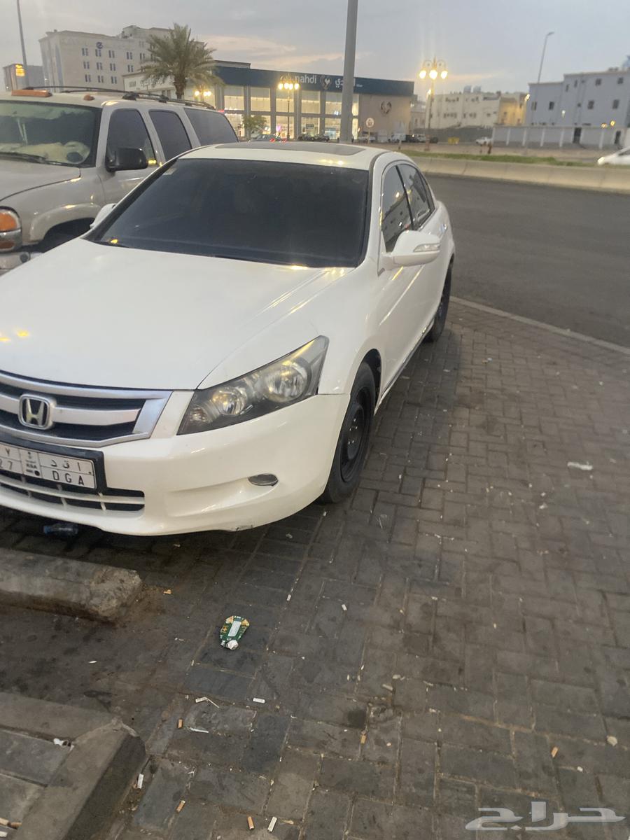 Delivery neom - tabuk 24h Tabuk - Sharmah - Neom64525053006595110