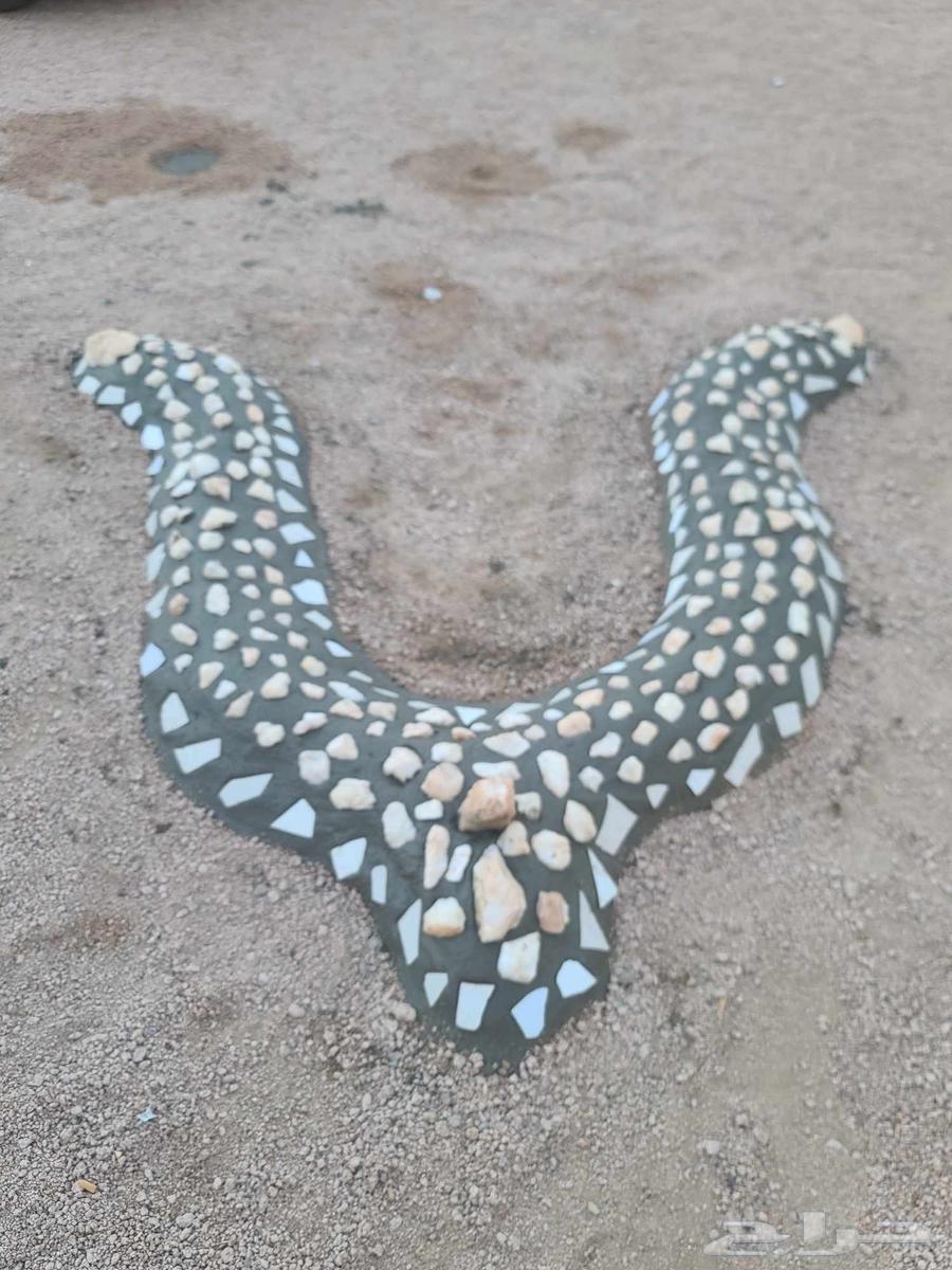 Landscaping, watering and pruning trees64562727081475110