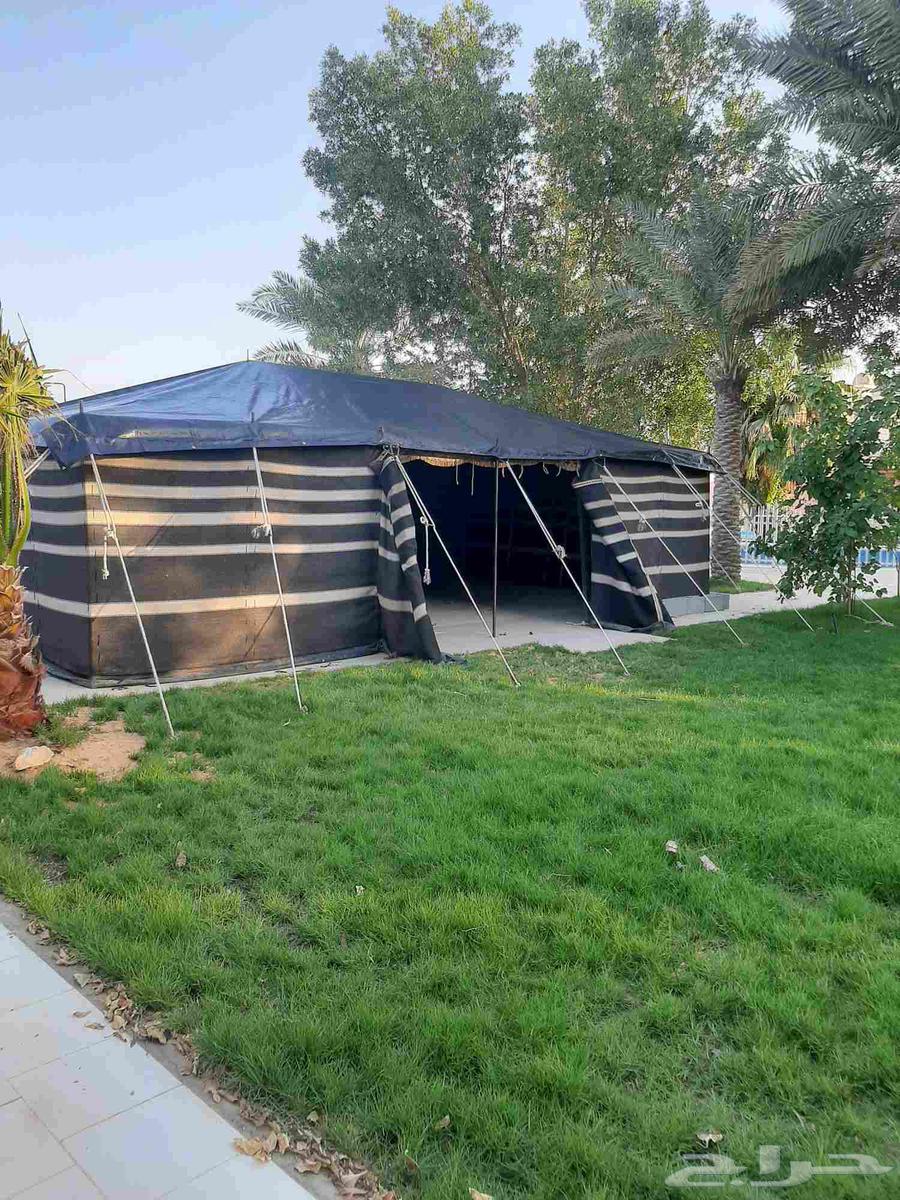 ابوطارق لتركيب الخيام وبيوت الشعر64534308945666110