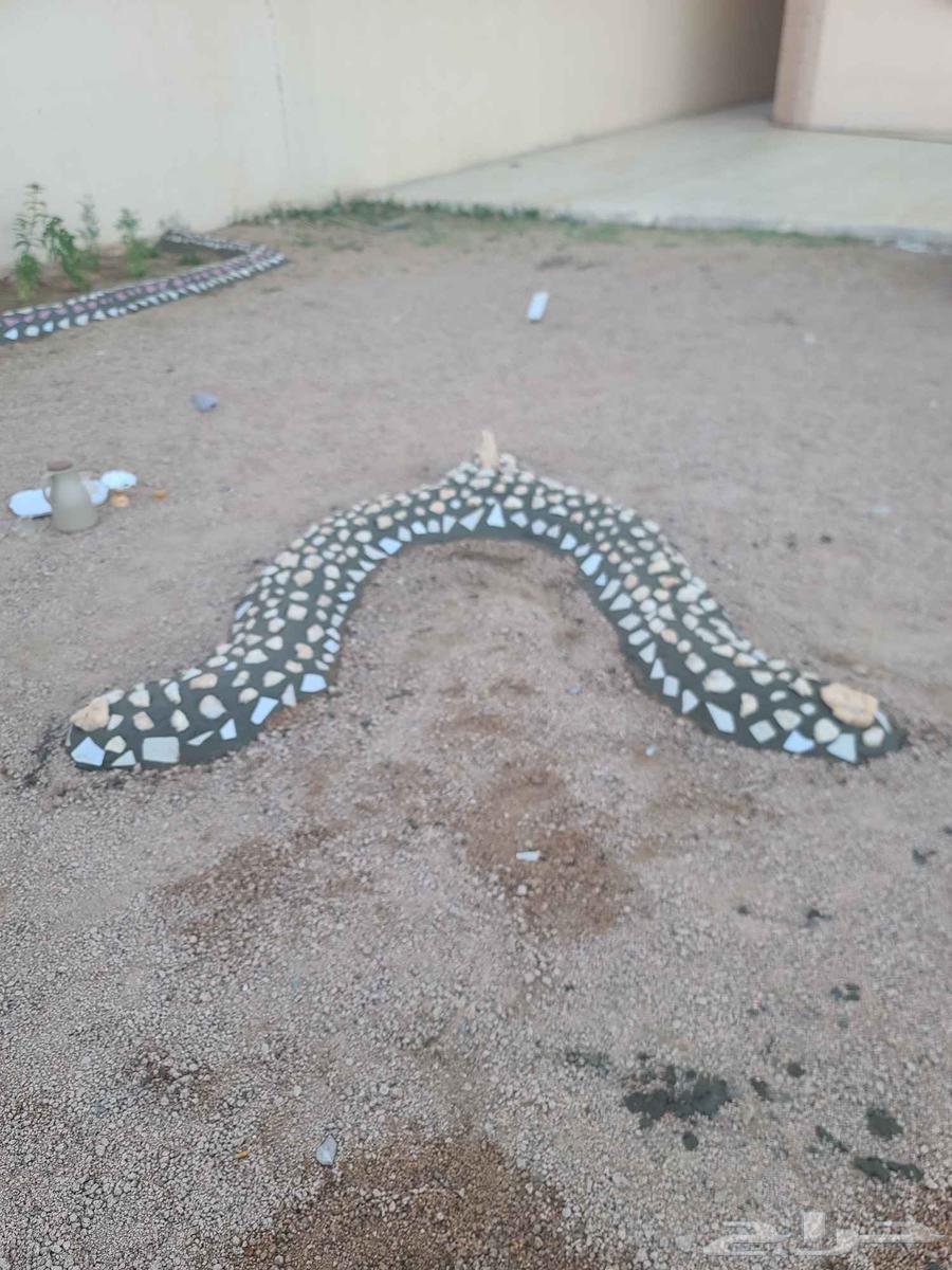 Landscaping, watering and pruning trees64562727081475111