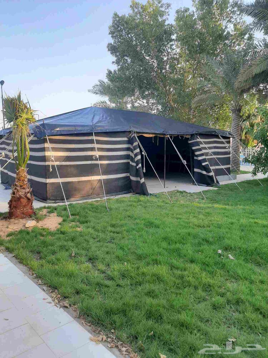 ابوطارق لتركيب الخيام وبيوت الشعر64534308945666111