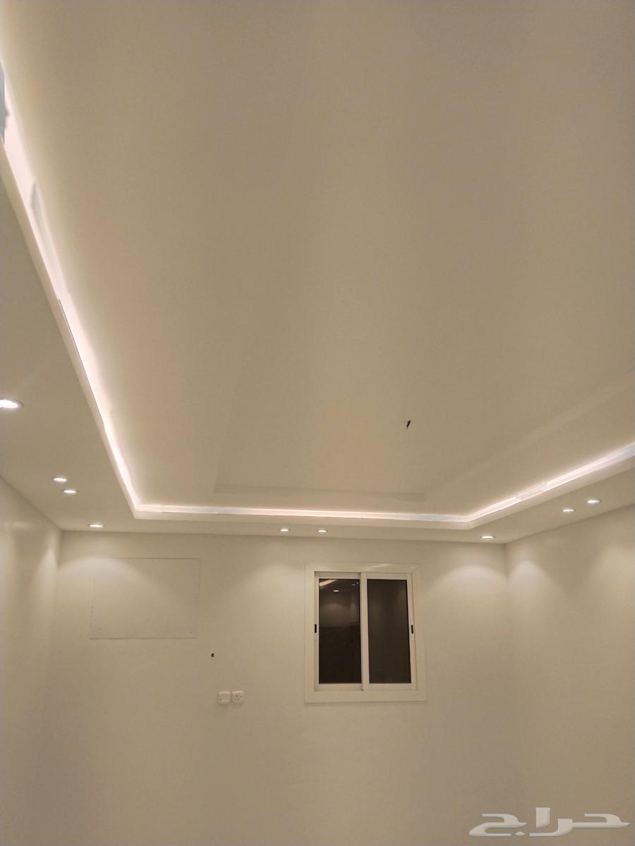 معلم جبس بورد تبوك64525067250819113