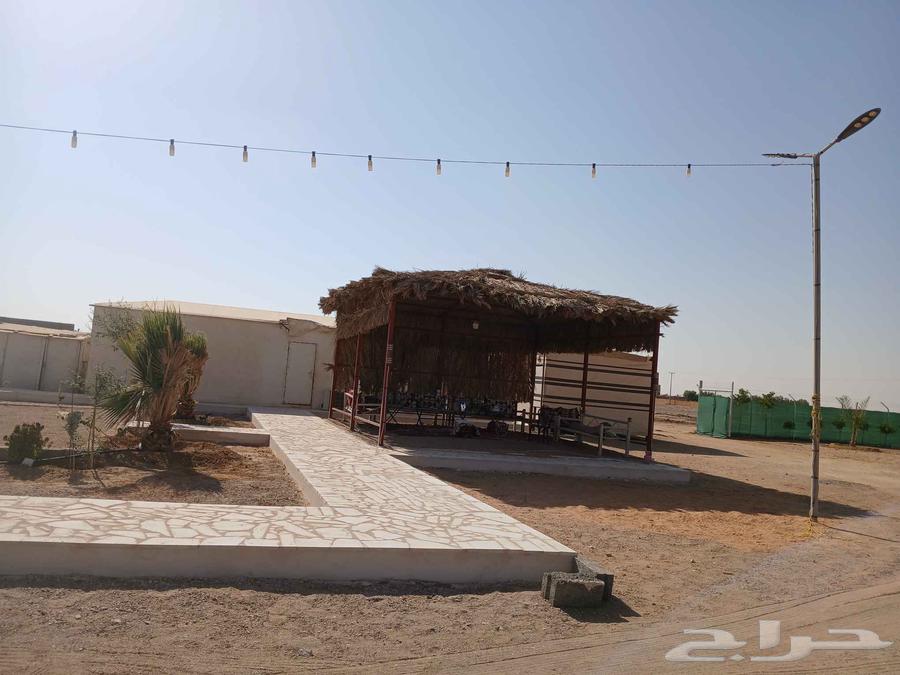 نقوم بتركيب عريش وخيم وتركيب شبوك64606262432130113