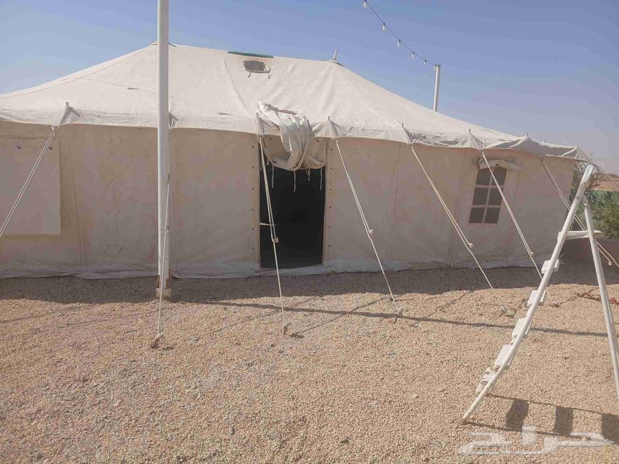 نقوم بتركيب عريش وخيم وتركيب شبوك64606262432130114