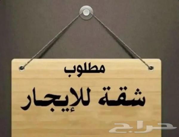 Apartment with two rooms required64534324095489110