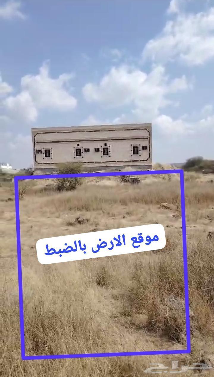 ارض للبيع مخطط راح ابوعريش اناالمالك 200سعره64534226669699112