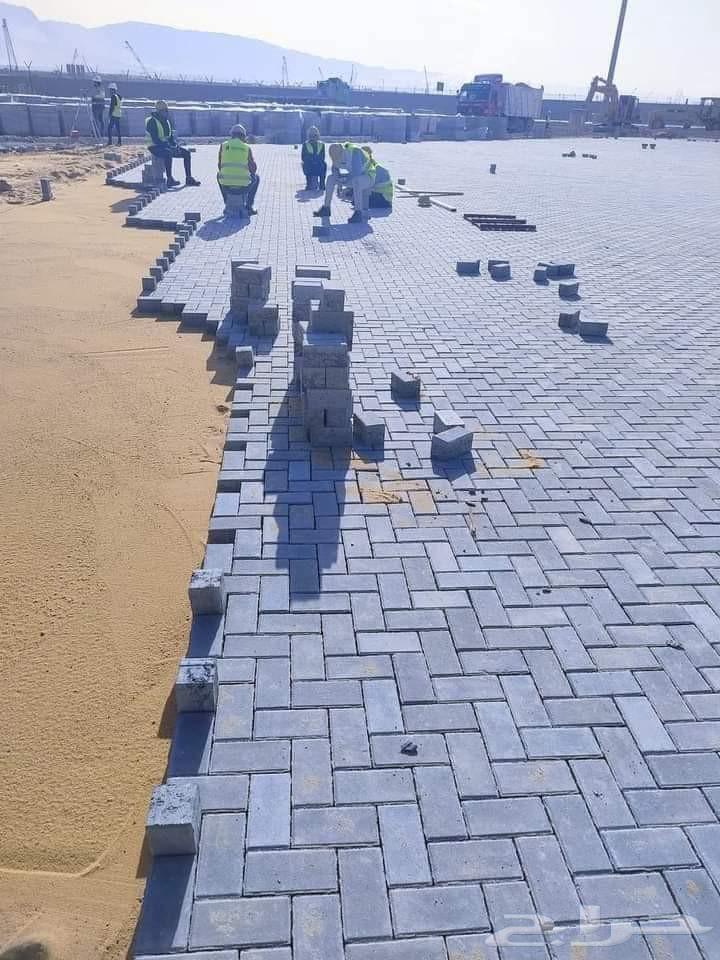 معلم باكستاني بلادور اندلك بلات سلاميك ذبيت أجر رياض64534504135297114