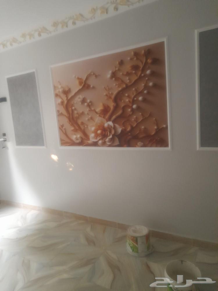 لعمل جميع انواع الصبغ ومعالجة التشققات بأرخص الاسعار واعلا ج64525020801666113