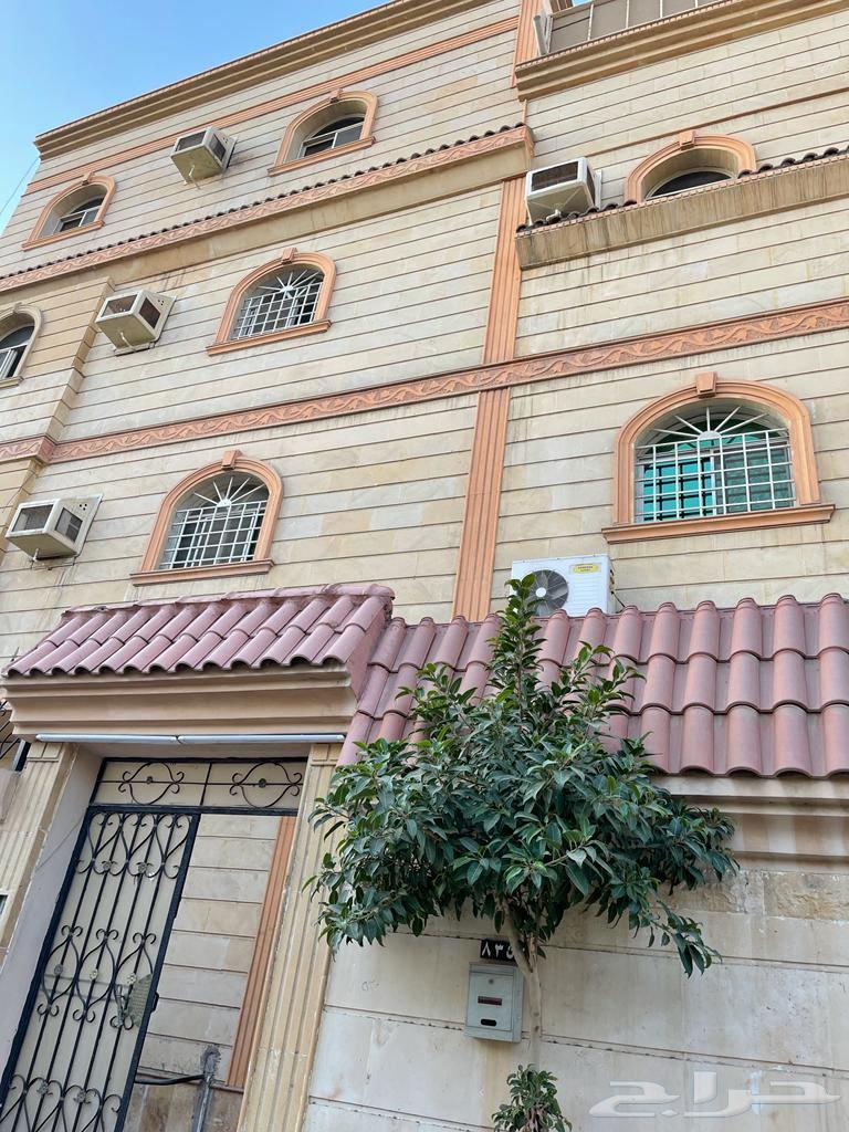 شقة للإيجار